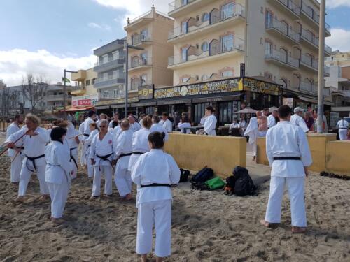 Mallorca Karate 2019 3
