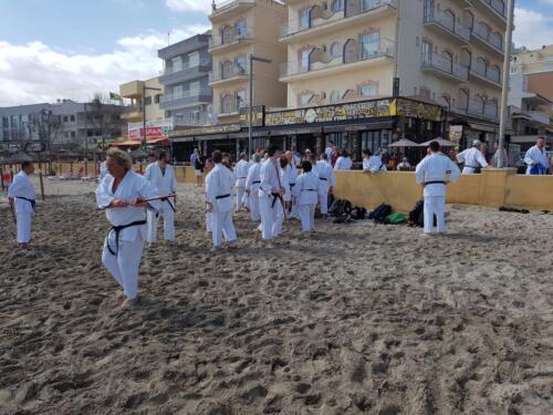 Mallorca Karate 2019 4